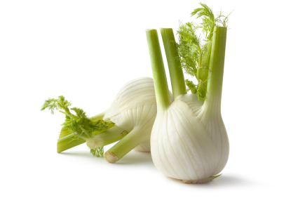 Image of Fenchel