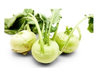 Kohlrabi