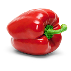 Paprika rot Paprika rot