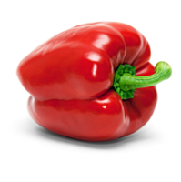 Paprika rot