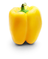 Paprika gelb/orange