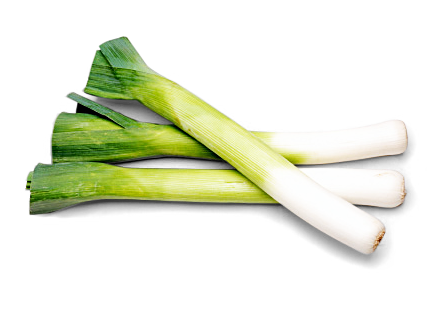 Image of Lauch