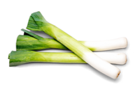 Lauch