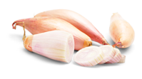 Schalotten