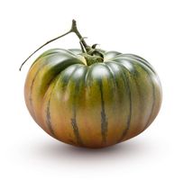 Tomaten Merinda