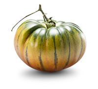 Tomaten Merinda