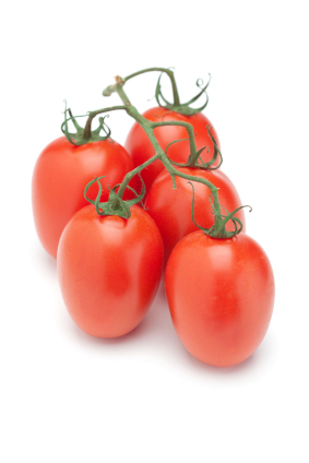Cocktailtomaten Eier-Strauch Cocktailtomaten Eier-Strauch