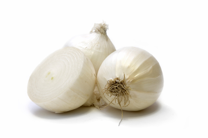 Zwiebel Weiß Zwiebel Weiß