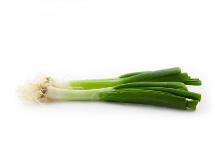 Lauchzwiebel Lauchzwiebel
