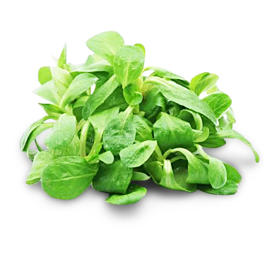 Image of Feldsalat