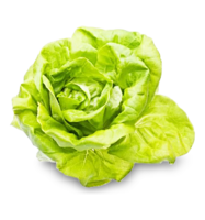 Kopfsalat