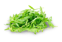 Rucola Salat