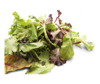 Mischsalat Dallmayr