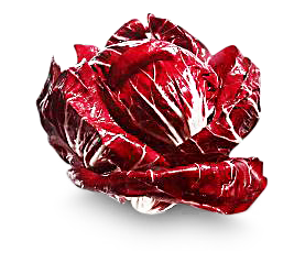 Image of Radicchio