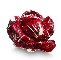 Radicchio Radicchio