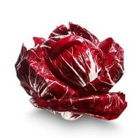 Radicchio