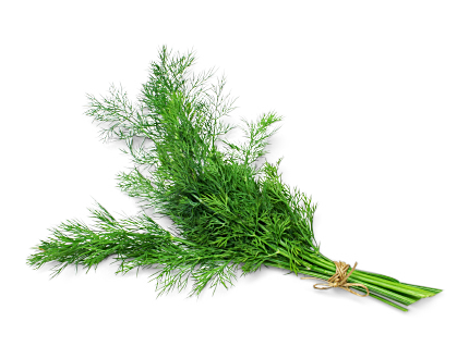 Image of Dill