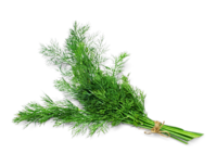 Dill