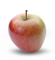 Äpfel Braeburn Äpfel Braeburn