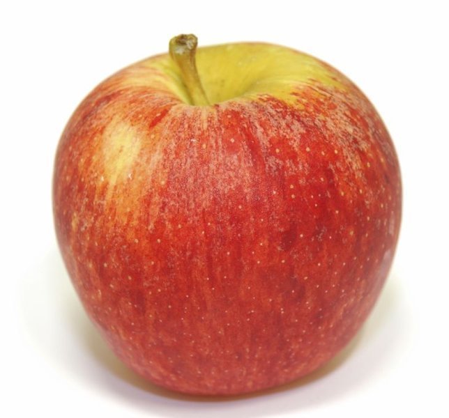 Äpfel Gala Royal