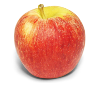 Äpfel Gala Royal