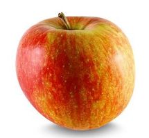 Äpfel Elstar Äpfel Elstar