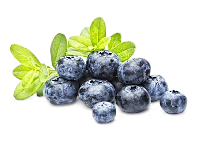 Image of Kulturheidelbeeren