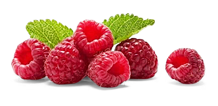 Image of Himbeeren