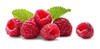 Himbeeren