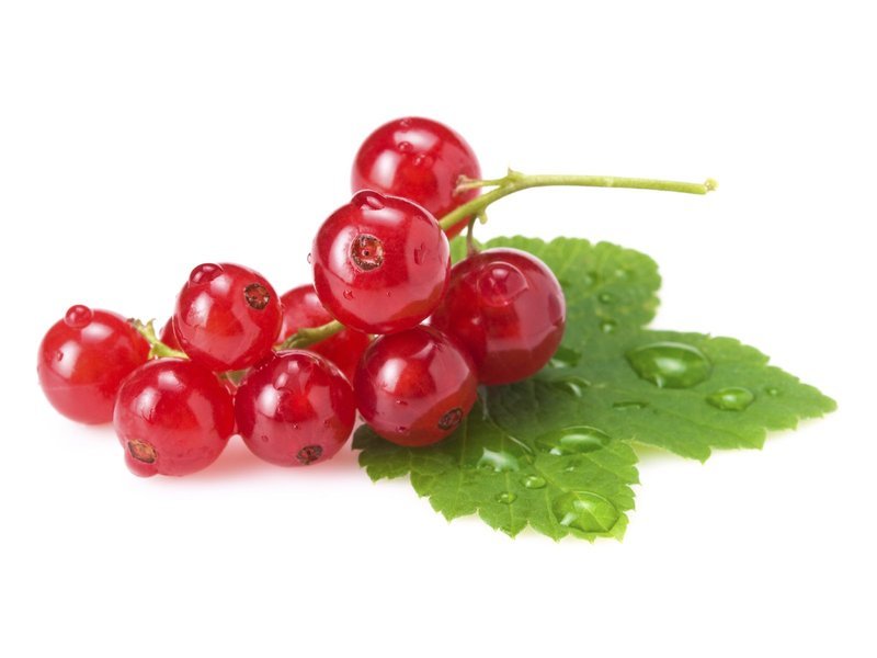 Johannisbeeren rot Johannisbeeren rot