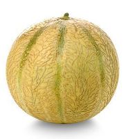 Melone Charantais