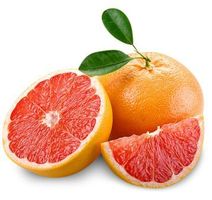 Grapefruit rot