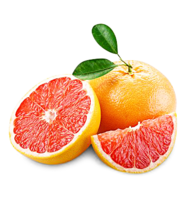 Grapefruit rot