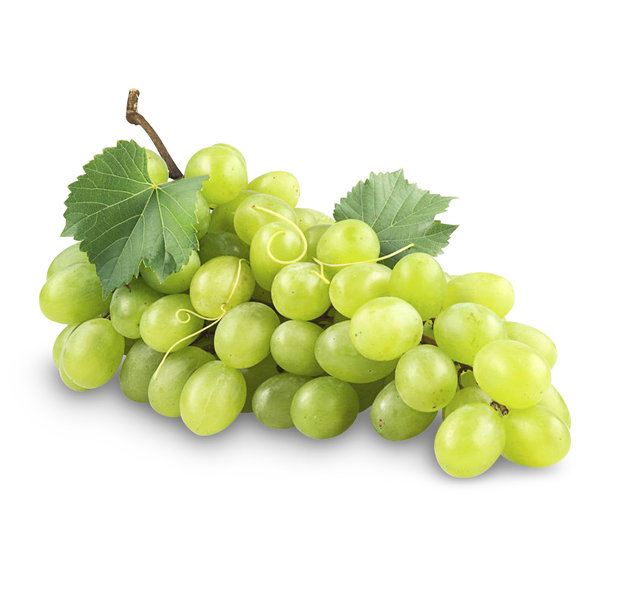 Trauben kernlos weiß Trauben kernlos weiß