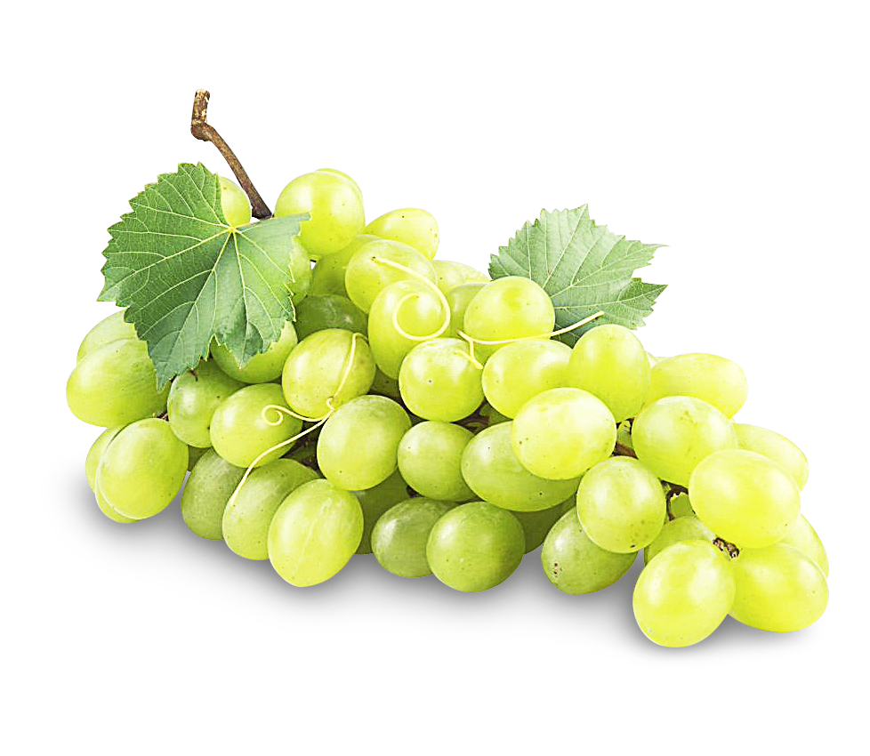 Trauben kernlos weiß Trauben kernlos weiß
