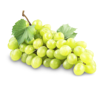 Trauben kernlos weiß