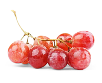 Traube rose kernlos