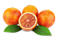 Orangen Moro