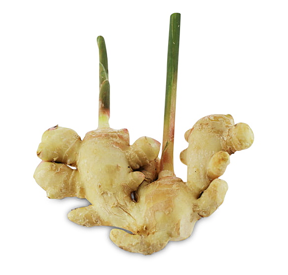 Image of Ingwer frisch