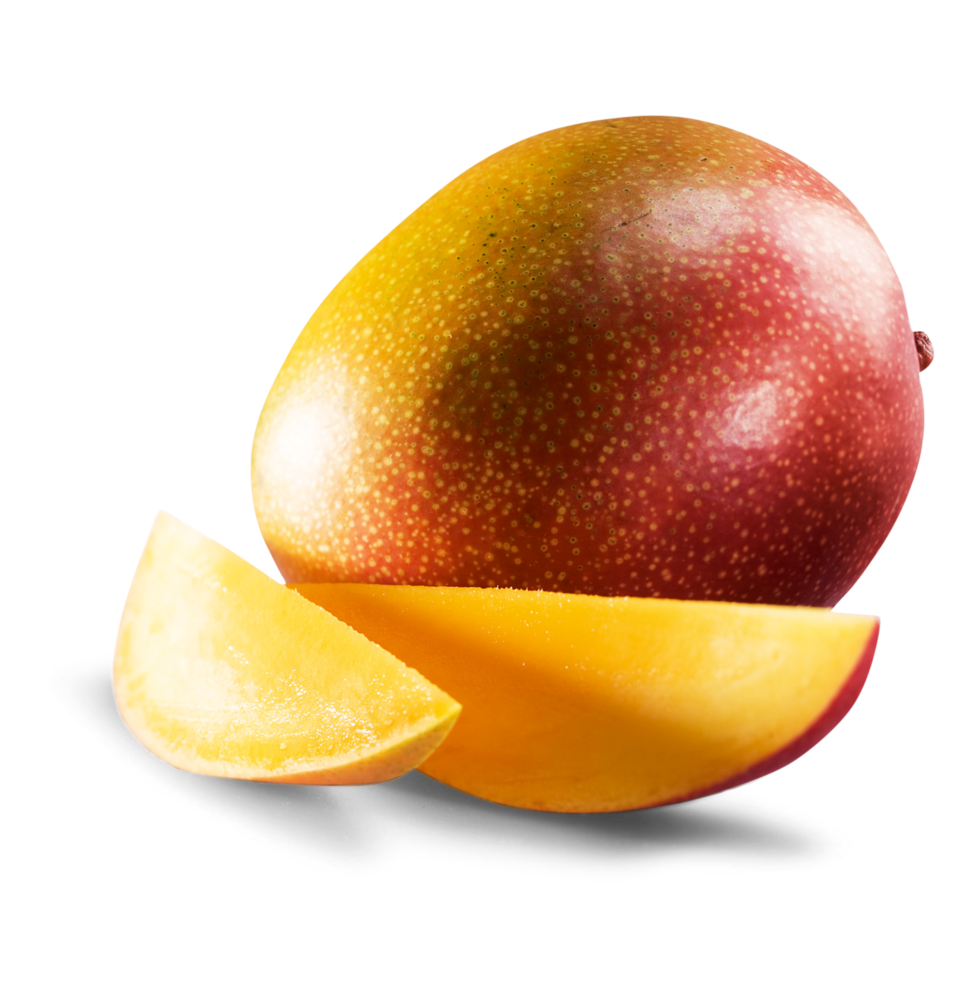 Mango Kent Mango Kent