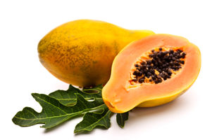 PAPAYA SAMBA
