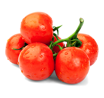Stieltomaten Frankreich Stieltomaten Frankreich