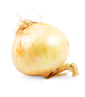Zwiebel süß