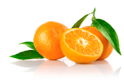 Mandarinen Mandarinen