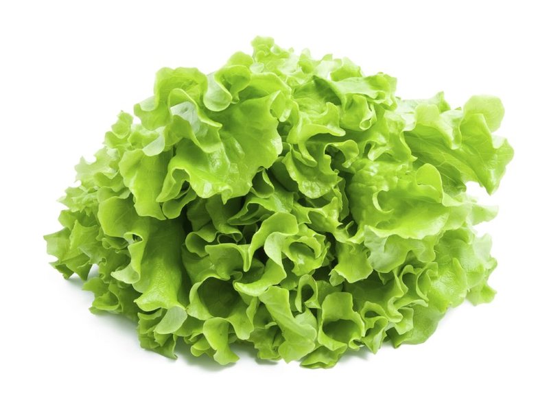 Salat Novita Salat Novita