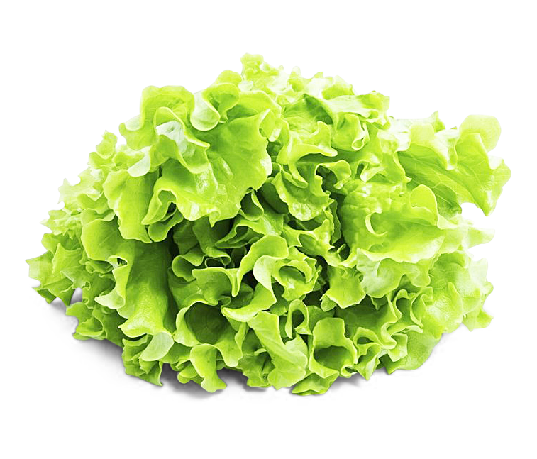 Image of Salat Novita
