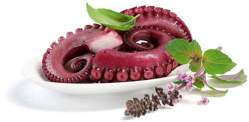 Pulpo gekocht Pulpo gekocht