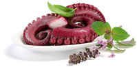 Pulpo gekocht