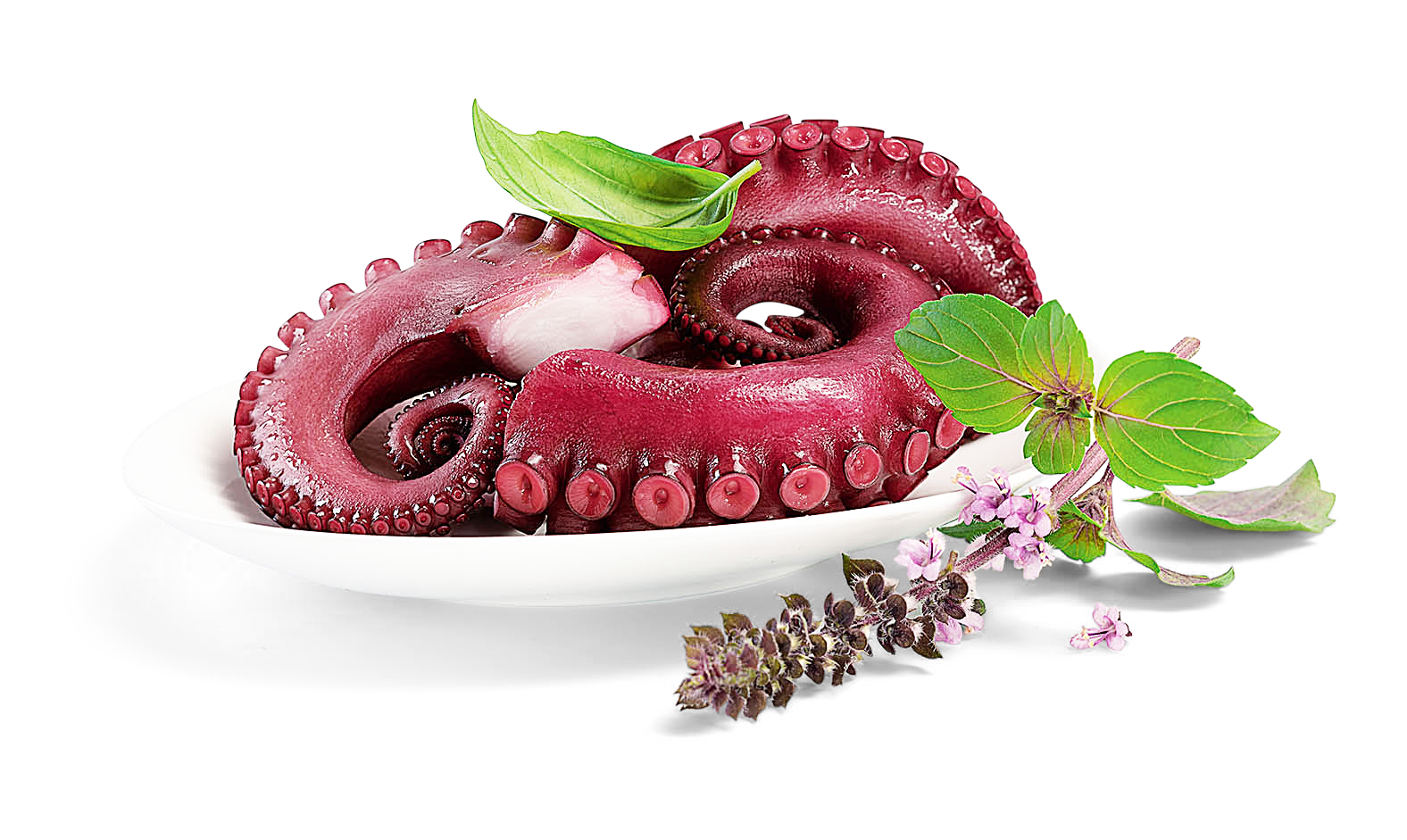 Image of Pulpo gekocht