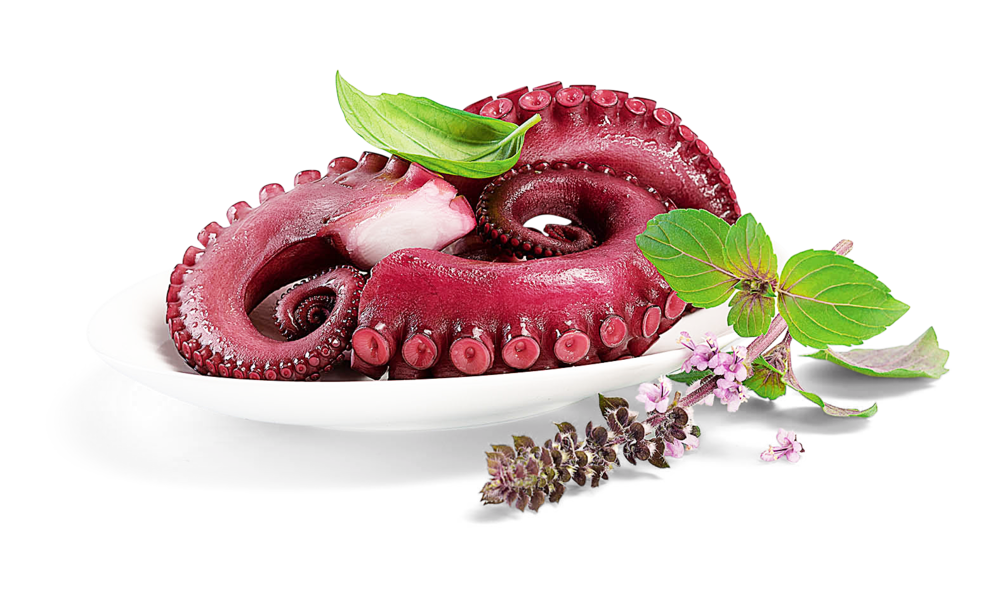 Pulpo gekocht Pulpo gekocht